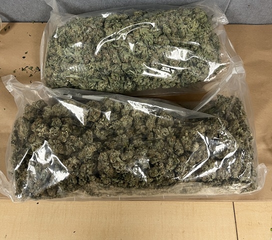 Teen transporting cannabis takes off, lands in police hands