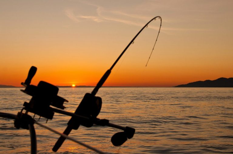 Fishers casting competitive lines